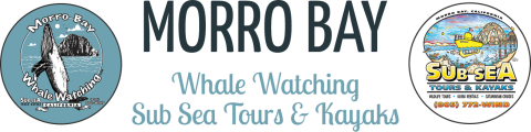 Sub Sea Tours & Morro Bay Whale Watching