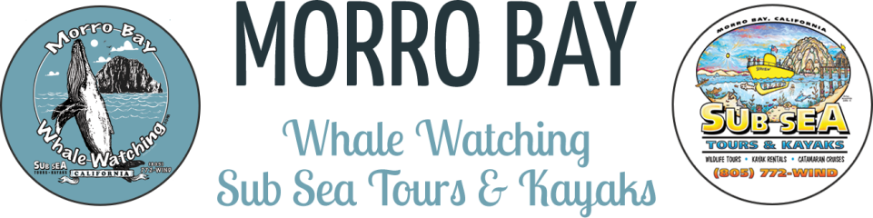 Sub Sea Tours & Morro Bay Whale Watching