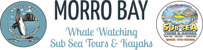 Whale Watching Catamaran | Sub Sea Tours & Morro Bay Whale Watching